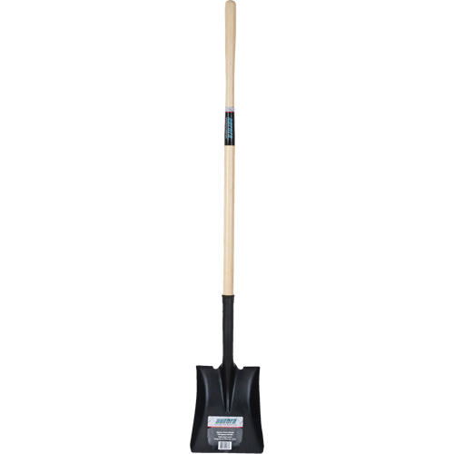 Square Point Shovel, Hardwood, Tempered Steel Blade, Straight Handle, 48" Long Toolneeds Inc.