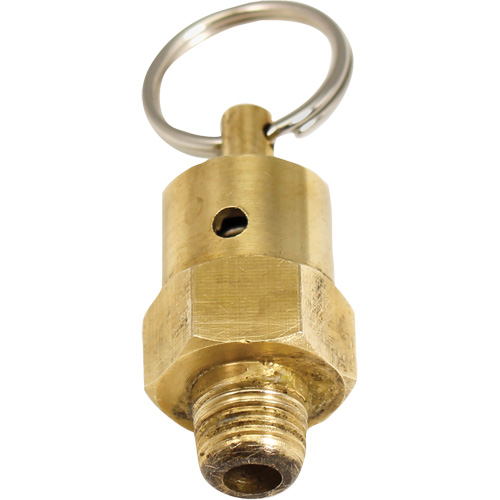 Soupape de rel&acirc;chement de pression Viton Toolneeds Inc.