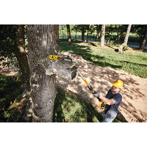 MAX* XR Cordless Polesaw Kit Toolneeds Inc.
