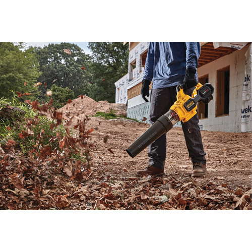 Souffleur axial sans balai portatif Flexvolt, 60 V, Vitesse d'air 125 mi/h, &agrave; pile Toolneeds Inc.