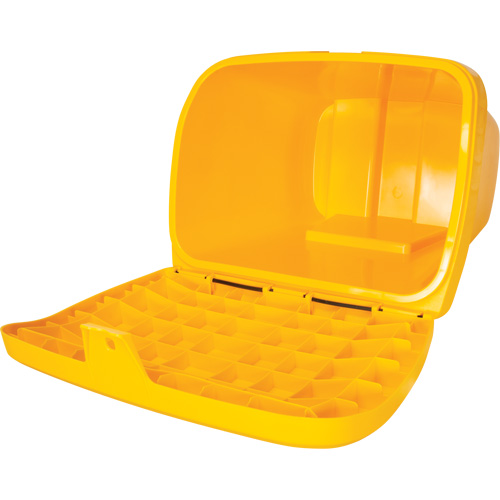 Bacs d'entreposage pour sel & sable, Avec Moraillon, 21" x 27" x 26", 4,24 pi³, Jaune Toolneeds Inc.