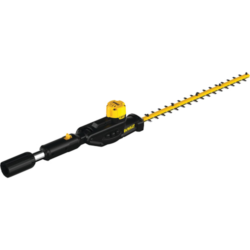 t&ecirc;te de taille-haie sur perche 20 V Max* Toolneeds Inc.