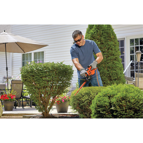 Hedge Trimmer, 17", Electric Toolneeds Inc.