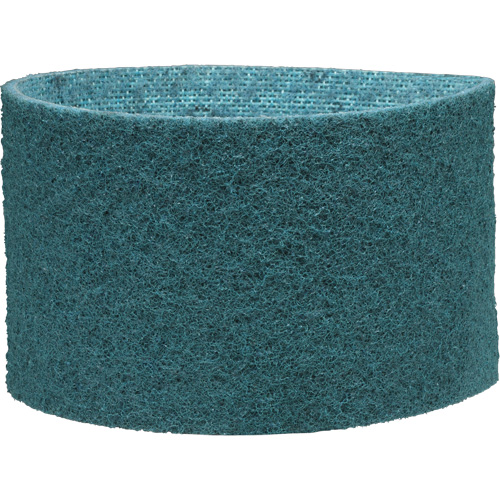 Scotch-Brite Surface Conditioning Belt Toolneeds Inc.