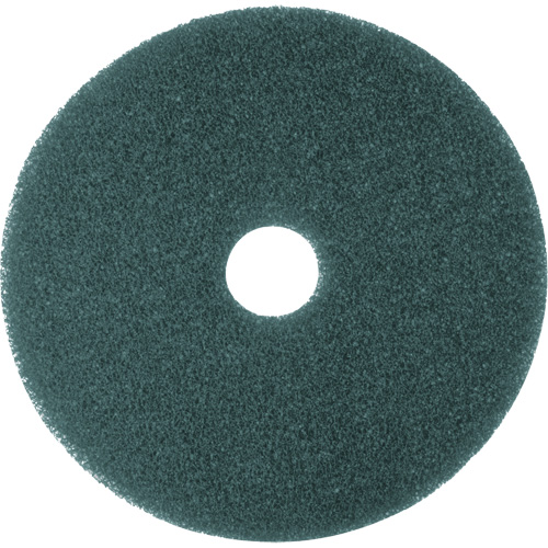 Cleaner Pad, 13", Scrubbing, Blue Toolneeds Inc.