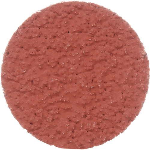 Disque &agrave; d&eacute;ligner durable II Roloc Cubitron, 2" dia., Grain 36+, C&eacute;ramique Toolneeds Inc.