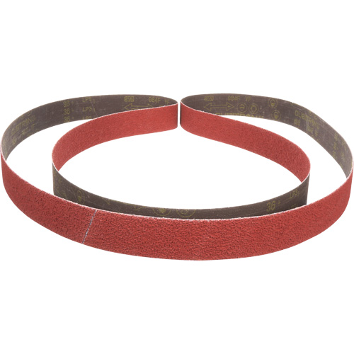 Cubitron II 984F Abrasive Belt, 2" W x 132" L, Ceramic, 36+ Grit Toolneeds Inc.