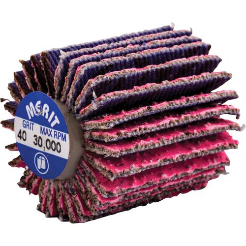 Mini-meule &agrave; lamelles filet&eacute;es, C&eacute;ramique d'alumine, Grain 40, 1" x 1" x 1/4"-20 Toolneeds Inc.