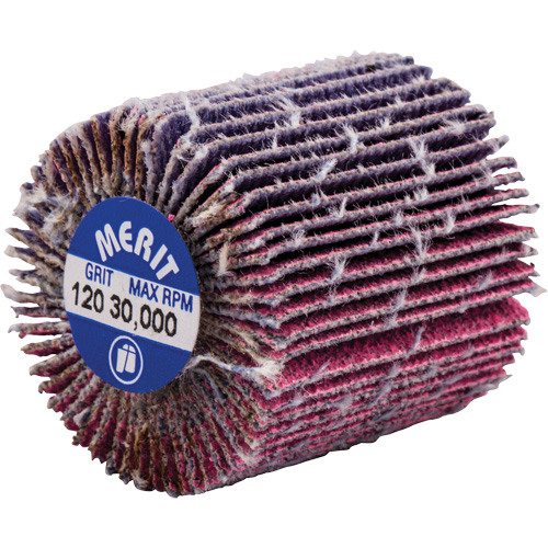 Mini-meule &agrave; lamelles filet&eacute;es, C&eacute;ramique d'alumine, Grain 120, 1" x 1" x 1/4"-20 Toolneeds Inc.