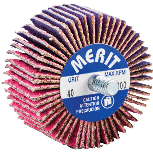 Threaded Mini Flap Wheel, Ceramic Alumina, 40 Grit, 2" x 1" x 1/4"-20 Toolneeds Inc.