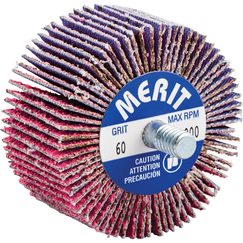 Threaded Mini Flap Wheel, Ceramic Alumina, 60 Grit, 2" x 1" x 1/4"-20 Toolneeds Inc.