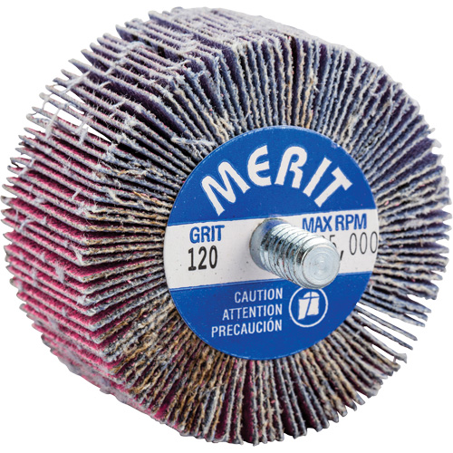 Threaded Mini Flap Wheel, Ceramic Alumina, 120 Grit, 2" x 1" x 1/4"-20 Toolneeds Inc.
