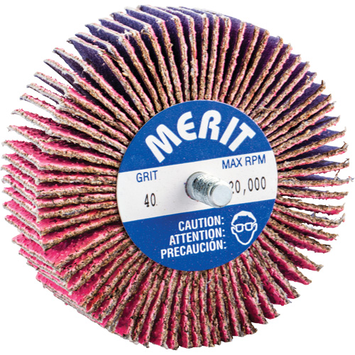 Threaded Mini Flap Wheel, Ceramic Alumina, 40 Grit, 3" x 1" x 1/4"-20 Toolneeds Inc.