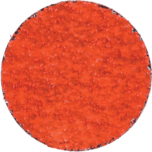 Blaze R980P Quick-Change Cloth Disc, 2" Dia., 36 Grit, Ceramic Alumina Toolneeds Inc.