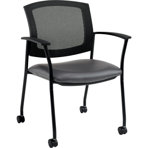 Ibex Guest Chairs Toolneeds Inc.