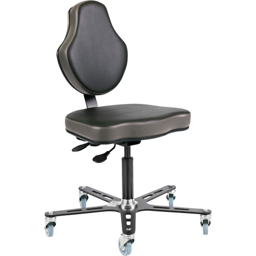 Vega Multi-Tilt Ergonomic Chair, Mobile, Adjustable Height Toolneeds Inc.