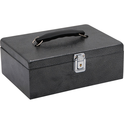 Coffre -caisse &agrave; loquet verrouillable Toolneeds Inc.