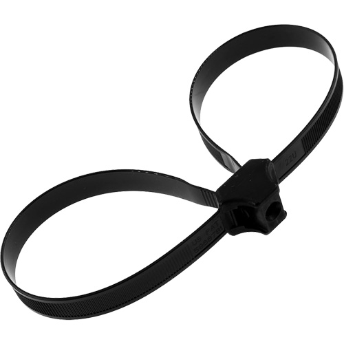 Dual Clamp Ties Toolneeds Inc.