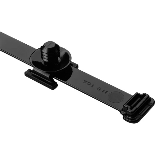 Attaches de c&acirc;bles/support pour sapin robustes Toolneeds Inc.