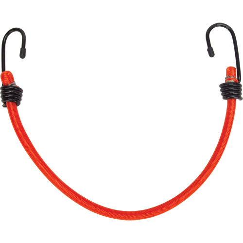 Bungee Cord Tie Downs, 12" Toolneeds Inc.