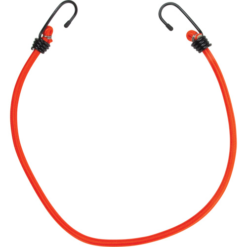 Bungee Cord Tie Downs, 24" Toolneeds Inc.