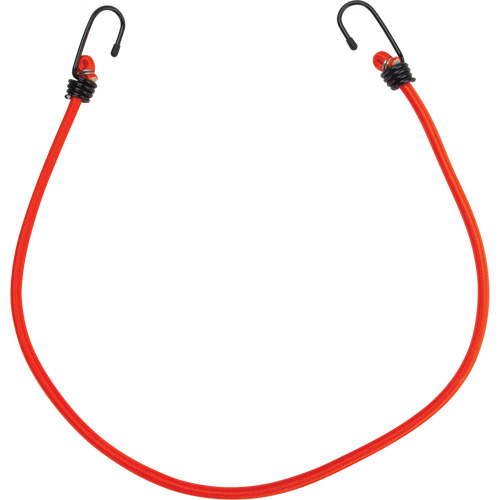 Bungee Cord Tie Downs, 30" Toolneeds Inc.