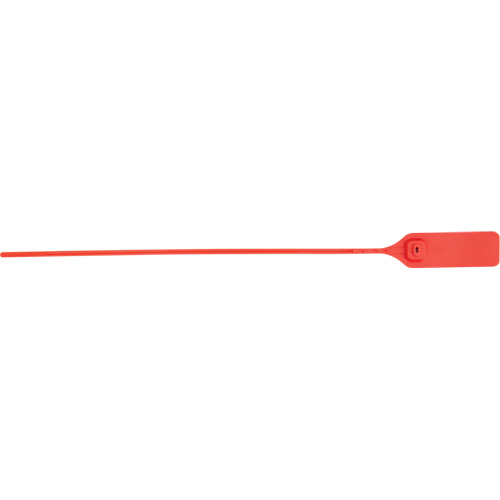 Scell&eacute; de s&eacute;curit&eacute; robuste, 13", Plastique, Scell&eacute; &agrave; tirer Toolneeds Inc.