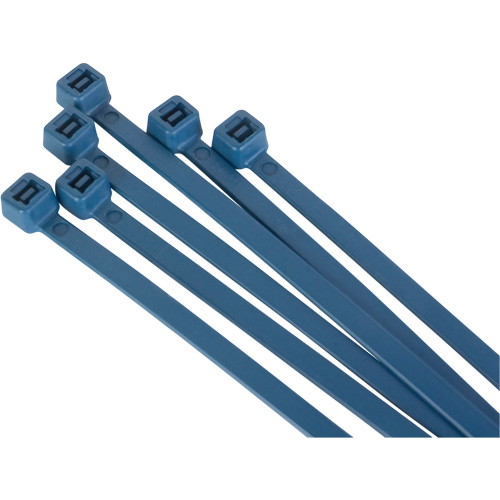 Attache-c&acirc;bles d&eacute;tectables par d&eacute;tecteur de m&eacute;taux, 6" lo, R&eacute;sistance &agrave; la traction 120 lb Toolneeds Inc.