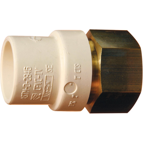 Adaptateur de tuyau filet&eacute;, Noeud x FPT, 2" dia., Laiton/PVC-C Toolneeds Inc.