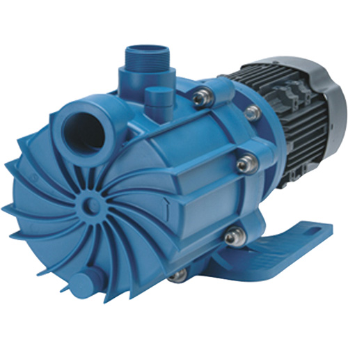 Self-Priming Magnetic Drive Pump with Carbon Bushing Toolneeds Inc.