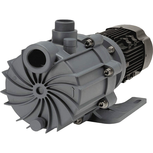 Self-Priming Magnetic Drive Pump with Carbon Bushing Toolneeds Inc.