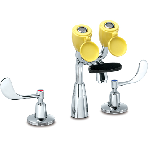 Faucet & Eyewash Station, Sink Mount Installation Toolneeds Inc.