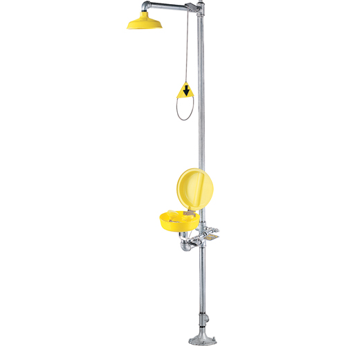 Combination Shower Eye/Face Wash With Cover Toolneeds Inc.