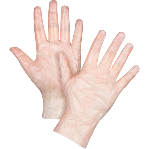 Economy Disposable Gloves, Small, Polyethylene, 1-mil, Powder-Free, Clear Toolneeds Inc.