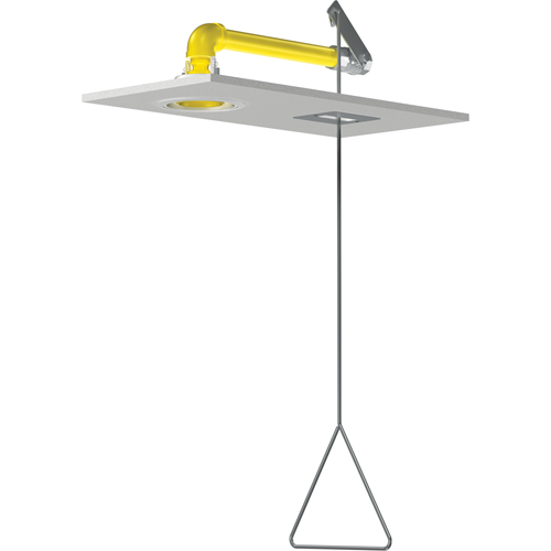 Douches d'urgence &agrave; alimentation horizontale, Montage au plafond Toolneeds Inc.