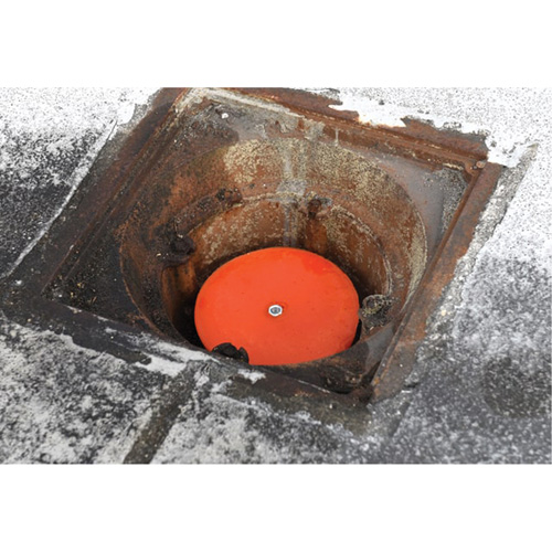 Drain Plug Toolneeds Inc.