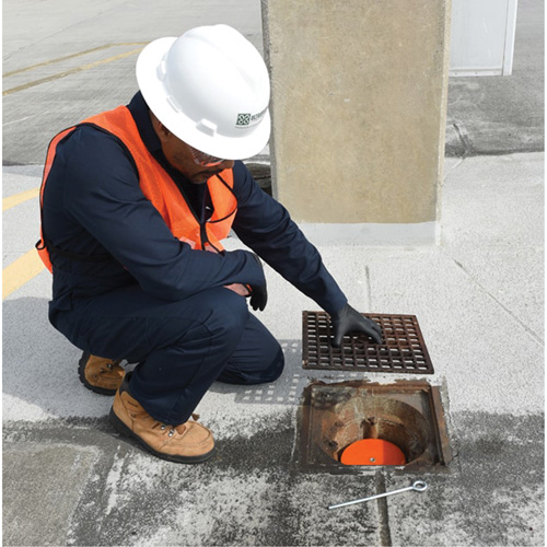 Drain Plug Toolneeds Inc.
