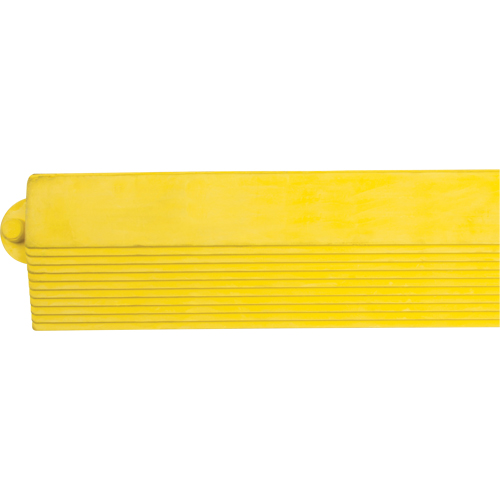 Rampe de bordure pour tapis Toolneeds Inc.