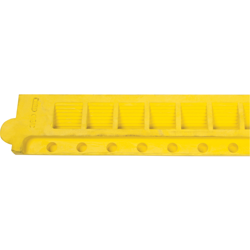 Rampe de bordure pour tapis Toolneeds Inc.