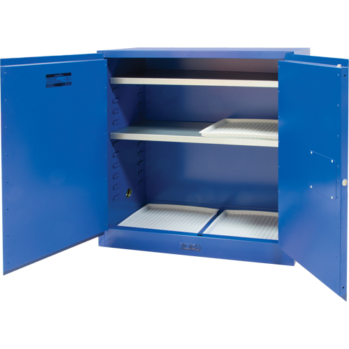 Armoire pour liquides corrosifs, 30 gal., 43" x 44" x 18" Toolneeds Inc.