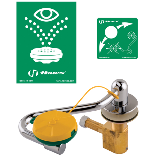 Poste de douche oculaire/faciale, Installation Montage sur &eacute;vier Toolneeds Inc.