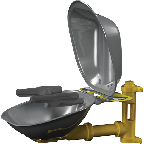 Halo Face/Eyewash Stations, Wall-Mount Installation, Stainless Steel Bowl Toolneeds Inc.