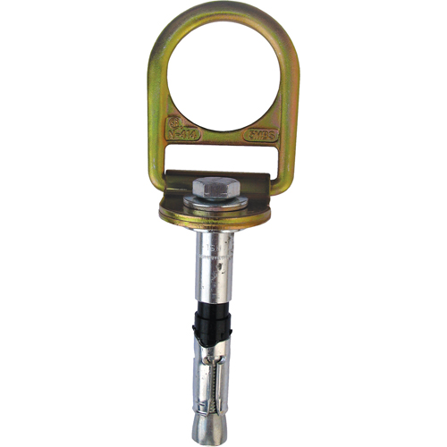 PRO Concrete D-ring Anchor with Bolt, Concrete/D-Ring, Permanent Use Toolneeds Inc.