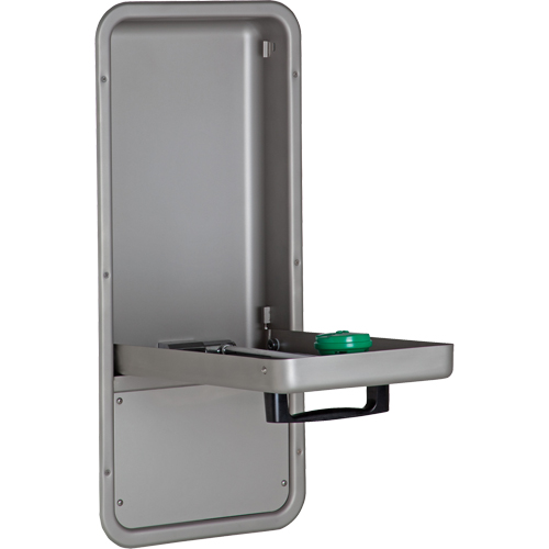 Eye/Face Wash Station, Wall-Mount Installation, Stainless Steel Bowl Toolneeds Inc.