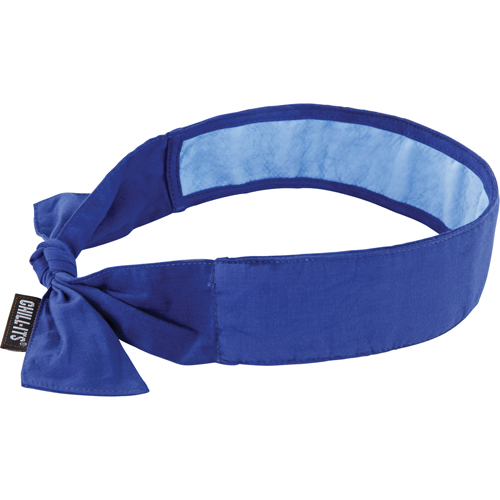 Foulards de refroidissement Chill-Its 6700CT, Bleu Toolneeds Inc.