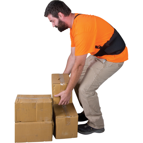 Back Support, Elastic, X-Large Toolneeds Inc.