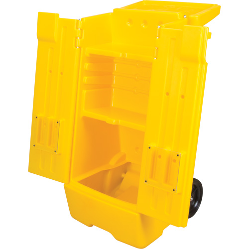 Chariot &agrave; outil mobile Toolneeds Inc.