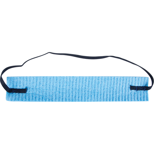 Cellulose Sweatband Toolneeds Inc.