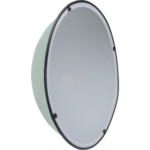 360° Dome Mirror, Full Dome, Open Top, 20" Diameter Toolneeds Inc.