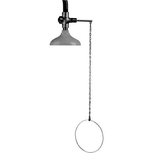 Douche d'urgence suspendue Lifesaver, Montage au plafond Toolneeds Inc.